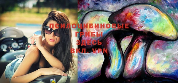 дмт Беломорск