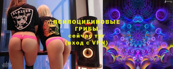 СК Белокуриха