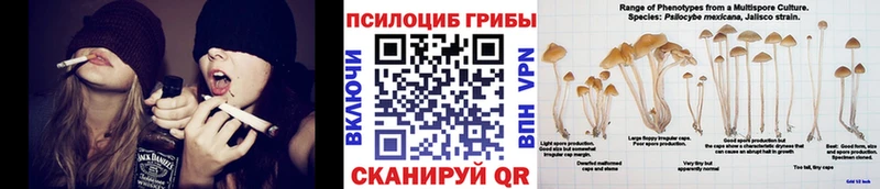 Псилоцибиновые грибы Psilocybine cubensis  дарнет шоп  Санкт-Петербург 